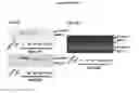 Fig. 06 - Therapeutic agent for keratoconjunctive disorders