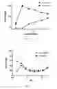 Fig. 02 - Applications of novel thiazole derivative in treating virus infection