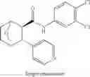 Fig. 197 - Compounds and compositions for inducing chondrogenesis