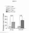 Fig. 02 - Muscle regeneration