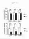Fig. 04 - Muscle regeneration
