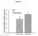 Fig. 07 - Muscle regeneration