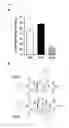 Fig. 09 - Antagonists of the thyroid-stimulating hormone receptor (TSHR)