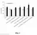 Fig. 02 - A MIXTURE OF D-SERINE AND CAFFEINE FOR OBTAINING THE EFFECT OF PREVENTING THE DECLINE OF LEARNING ABILITY OR MEMORY CAUSED BY STRESS AND ENHANCING LEARNING ABILITY OR MEMORY, AND A FUNCTIONAL FOOD COMPOSITION CONTAINING THE SAME