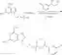 Fig. 239 - Nucleotide analogs