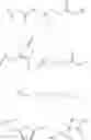 Fig. 271 - Nucleotide analogs
