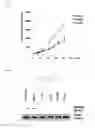 Fig. 05 - Methods and compositions for treating mesothelioma and small lung cancer that express midkine