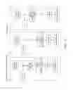 Fig. 19 - FULVESTRANT FORMULATIONS AND METHODS OF THEIR USE