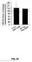 Fig. 07 - 25-HYDROXYCHOLESTEROL AND METHODS OF USE THEREOF