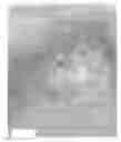 Fig. 01 - Compositions and methods for the treatment of skin lesions