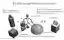 Fig. 01 - Compositions and methods for protecting organs from ischemia/reperfusion injury associated with transplantation