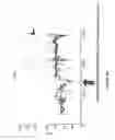 Fig. 06 - Compositions and methods for protecting organs from ischemia/reperfusion injury associated with transplantation