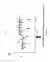 Fig. 07 - Compositions and methods for protecting organs from ischemia/reperfusion injury associated with transplantation