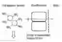 Fig. 01 - HCl-binding compositions for and methods of treating acid-base disorders