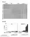 Fig. 06 - PROCESS FOR THE IDENTIFICATION OF COMPOUNDS FOR TREATING CANCER