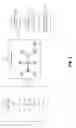 Fig. 02 - Insulin resistance and beta cell function using lysine-based supplements