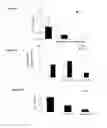 Fig. 08 - Methods of transdifferentiation and methods of use thereof
