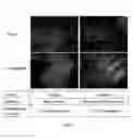 Fig. 08 - Human tissue derived compositions and uses thereof