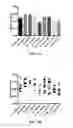 Fig. 02 - METHOD OF INHIBITING ANGIOGENESIS