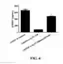 Fig. 07 - METHOD OF INHIBITING ANGIOGENESIS
