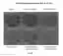 Fig. 40 - Compositions and methods for enhancing cancer chemotherapy