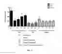 Fig. 76 - Compositions and methods for enhancing cancer chemotherapy
