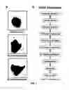 Fig. 02 - Compositions comprising extracellular matrix of primitive animal species and related methods