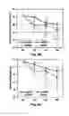 Fig. 07 - Compositions comprising extracellular matrix of primitive animal species and related methods