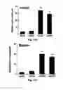 Fig. 22 - Compositions comprising extracellular matrix of primitive animal species and related methods