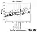 Fig. 08 - Combination method for treatment of cancer