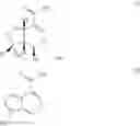 Fig. 04 - Pharmaceutical Composition on the Basis of Stachytarpheta SP., a Process for obtaining the same and its use for Treating Vitiligo