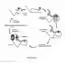 Fig. 06 - TFPI inhibitors and methods of use
