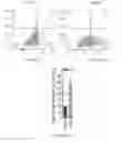 Fig. 08 - Compositions and methods for inhibiting tumor-induced immune suppression