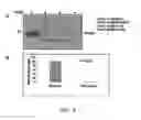 Fig. 08 - Antibacterial compositions, methods of making and use thereof