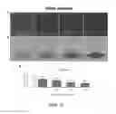 Fig. 15 - Antibacterial compositions, methods of making and use thereof