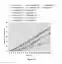 Fig. 11 - Composition comprising GLP-1 receptor agonist and glucagon receptor agonist and application thereof