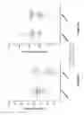 Fig. 06 - Composition comprising PCSK9 peptide conjugated to a Qbeta carrier and methods of using the same