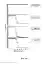 Fig. 04 - RAPID AND PROLONGED IMMUNOGENIC-THERAPEUTIC