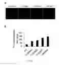 Fig. 09 - Alhydrogel-sodium chloride compound immunologic adjuvant, preparation method and use thereof