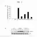 Fig. 02 - TM4SF19 AS MARKER FOR DIAGNOSING OBESITY AND METHOD USING SAME
