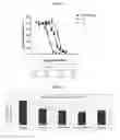 Fig. 04 - ETAR ANTIBODY, AND PHARMACEUTICAL COMPOSITIONS AND USE THEREOF