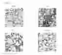 Fig. 09 - Statin-containing nanoparticle preparation for enhancing function of stem cells for treating inflammatory disease, and functionally enhanced stem cells containing same for treating inflammatory disease