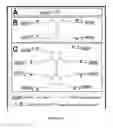 Fig. 02 - METHODS AND COMPOSITIONS FOR DETECTING ANEURYSMS