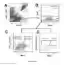 Fig. 09 - METHODS AND COMPOSITIONS FOR DETECTING ANEURYSMS