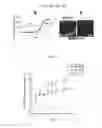 Fig. 06 - Compositions and methods for AL amyloid detection and uses thereof