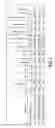 Fig. 02 - SN-117M LABELED MANNOSE COUPLED DEXTRAN AMINE