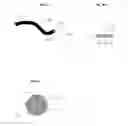 Fig. 02 - Hemostatic paste having surface enriched with hemostasis-promoting agents and devices for delivery