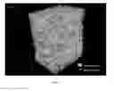 Fig. 06 - Bioactive glass-polymer composite bone scaffolds