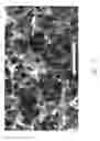 Fig. 09 - Tissue structure scaffolds