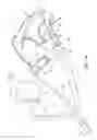 Fig. 02 - COMPACT ORONASAL PATIENT INTERFACE
